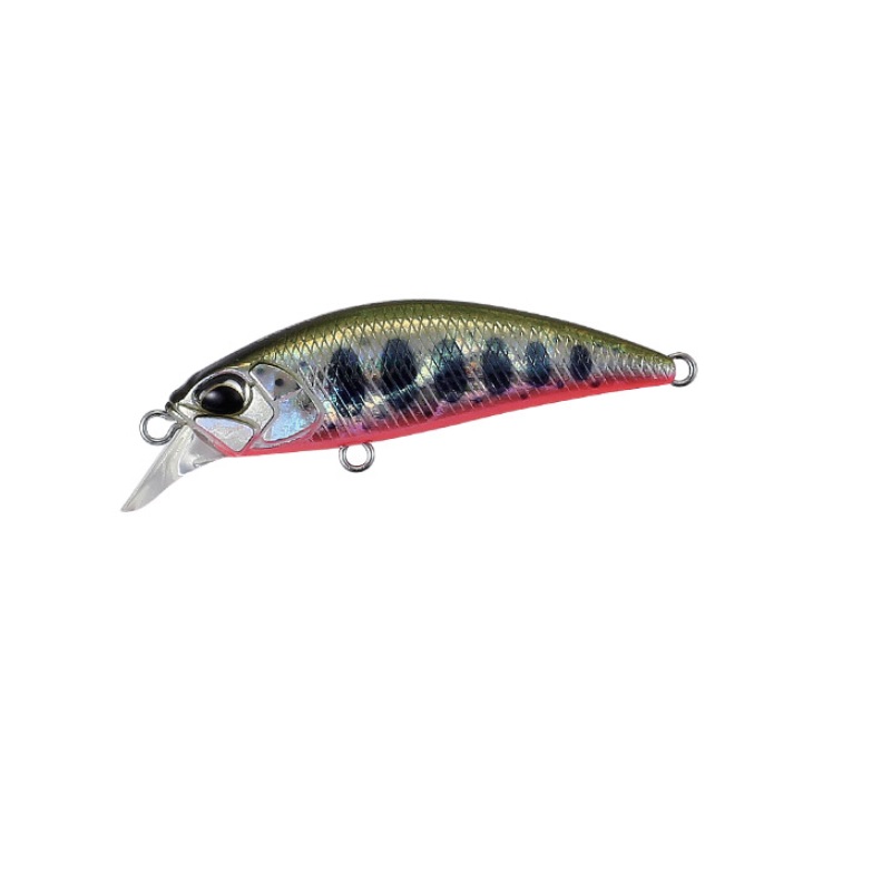 Duo-Spearhead ryuki-38S-Yamame red belly